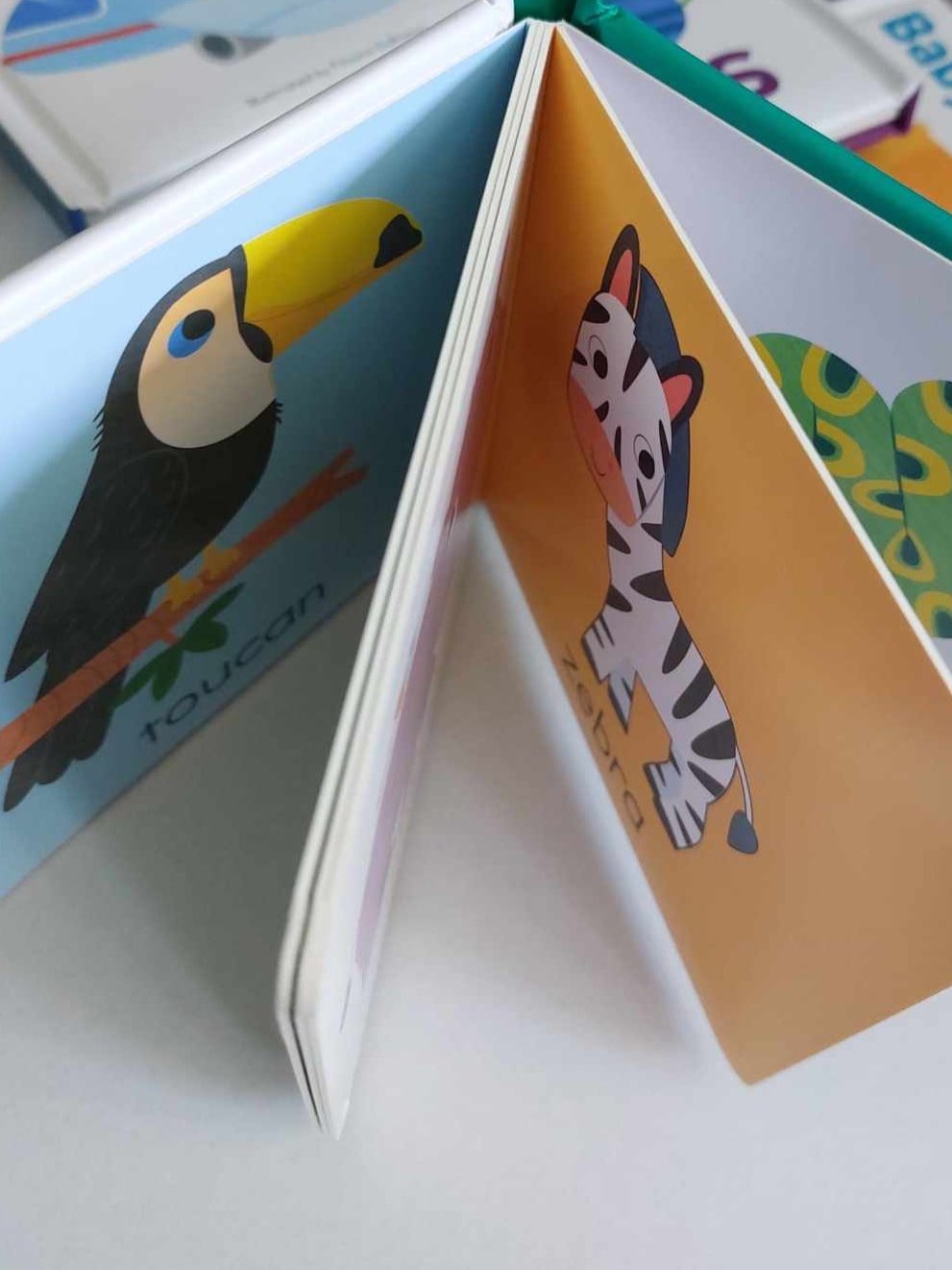 Early Learning, Safari