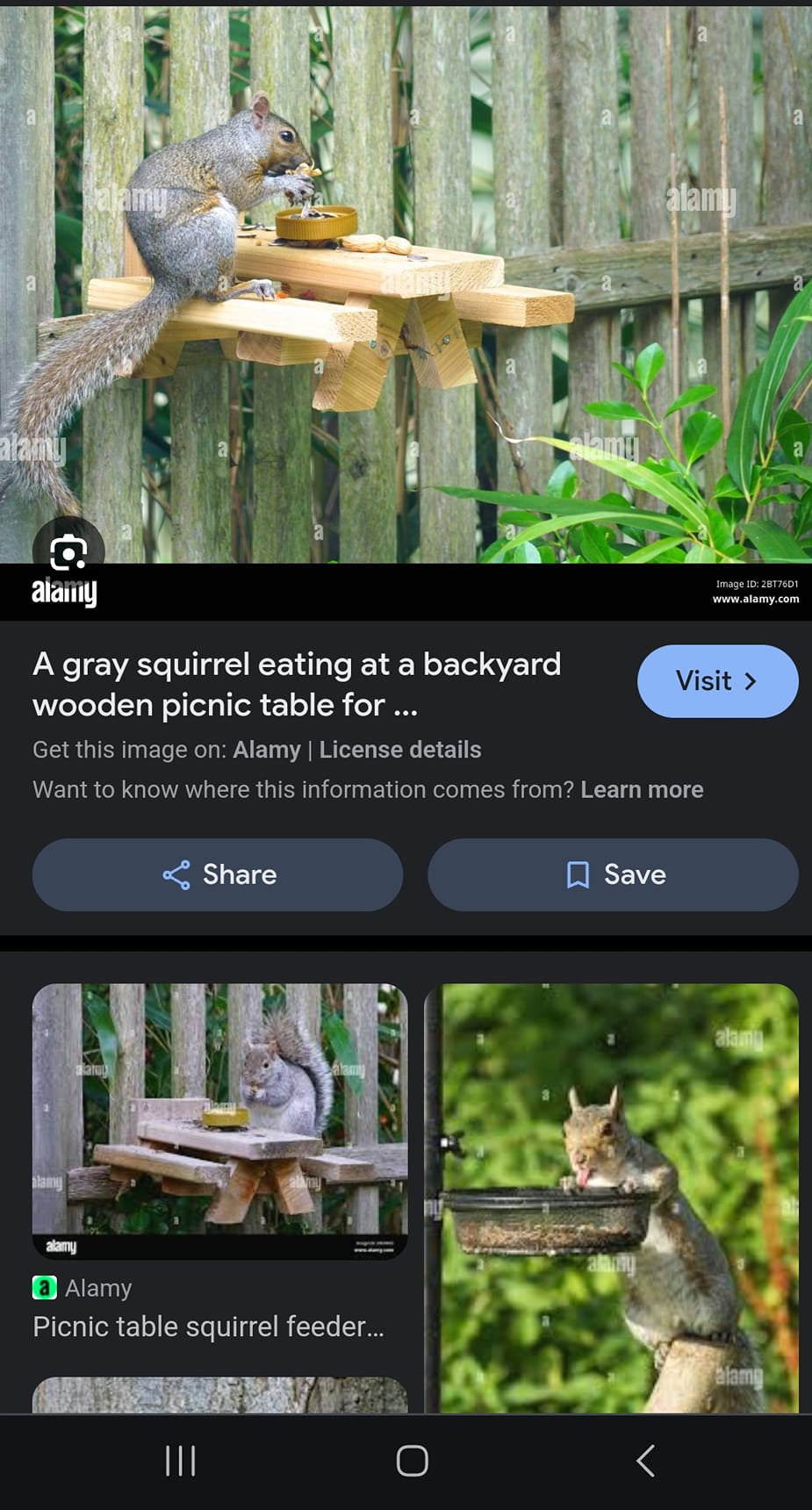 Handmade Wildlife Picnic Bench