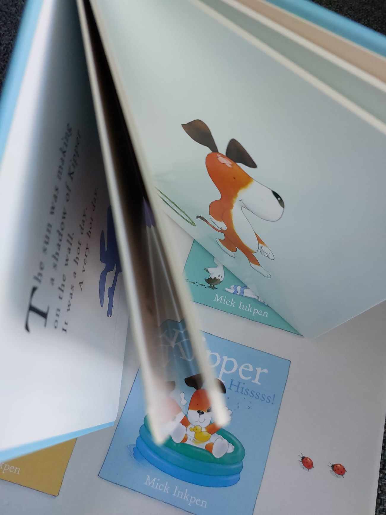 Kipper Hiss