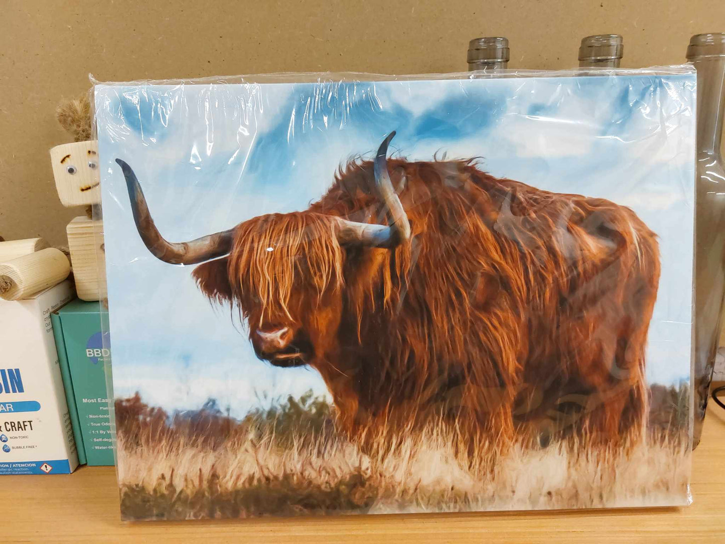 16inch by 12inch Canvas Print Bison In Field